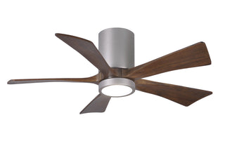 Irene-5HLK 42" Ceiling Fan in Brushed Nickel