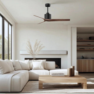 Mollywood 52" Ceiling Fan in Matte Black