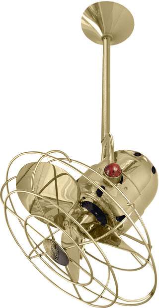 Bianca Direcional 13" Ceiling Fan in Polished Brass