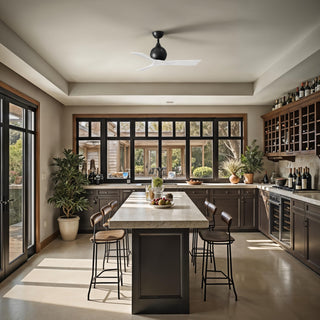 Irene-3 42" Ceiling Fan in Matte Black