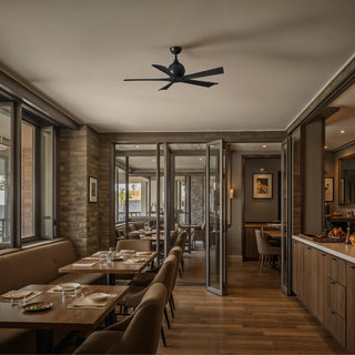 Irene-5 52" Ceiling Fan in Matte Black