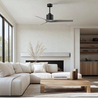 Mollywood 52" Ceiling Fan in Matte Black
