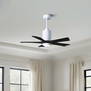 Patricia-5 42" Ceiling Fan in Gloss White