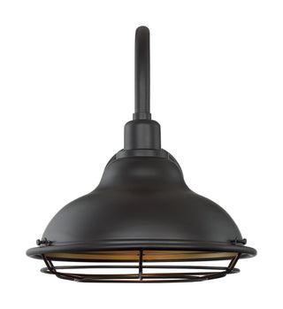Newbridge One Light Outdoor Wall Mount in Dark Bronze / Gold