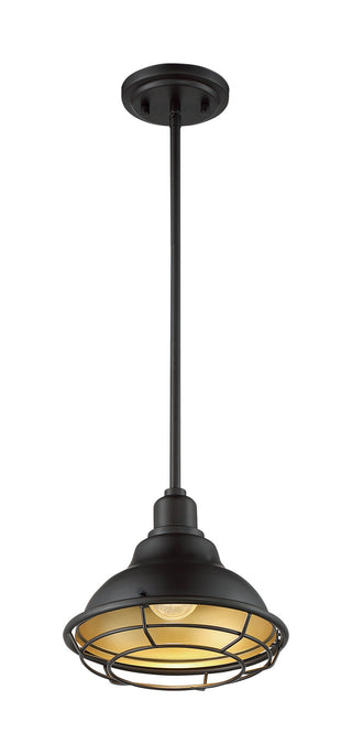 Newbridge One Light Pendant in Dark Bronze / Gold