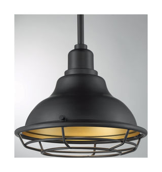 Newbridge One Light Pendant in Dark Bronze / Gold