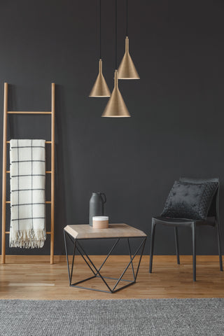 Lightcap One Light Pendant in Burnished Brass