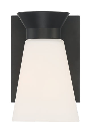 Caleta One Light Wall Sconce in Black