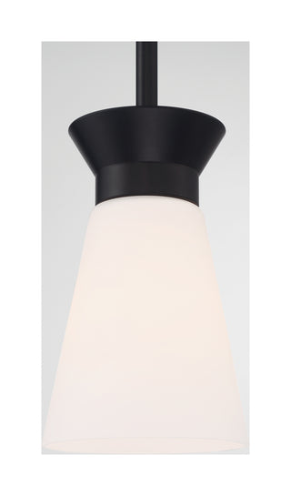 Caleta One Light Mini Pendant in Black