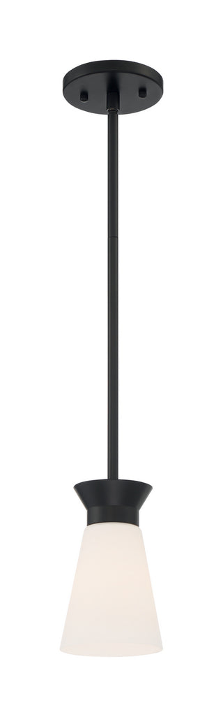Caleta One Light Mini Pendant in Black