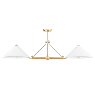 Williamsburg Linear with Aged Brass Finish