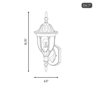 One Light Outdoor Wall Lantern in Black