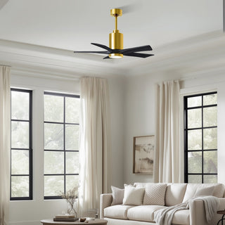 Patricia-5 42" Ceiling Fan in Brushed Brass