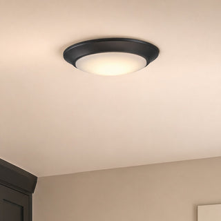 LED Disc Light in Black
