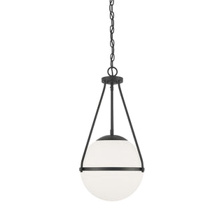 Meridian - M7025MBK - One Light Pendant - Matte Black