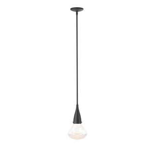 Hubbardton Forge - 188902-SKT-MULT-10-ZM0676 - Fritz Large Pendant - Fritz - Black