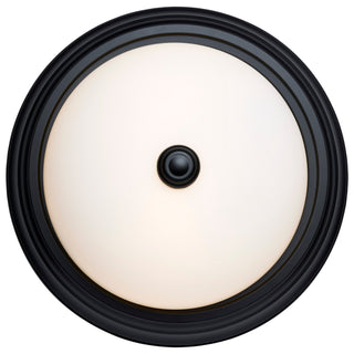 Two Light Flush Mount in Matte Black