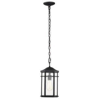 Raiden One Light Outdoor Hanging Lantern in Matte Black