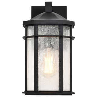 Raiden One Light Outdoor Wall Lantern in Matte Black