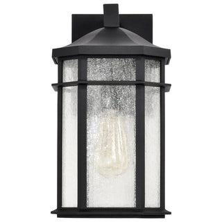 Raiden One Light Outdoor Wall Lantern in Matte Black