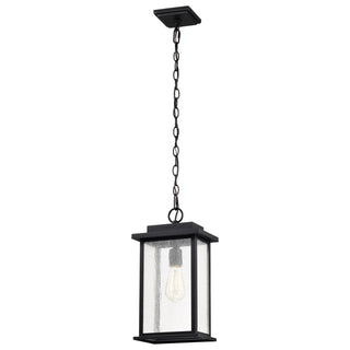 Sullivan One Light Outdoor Hanging Lantern in Matte Black