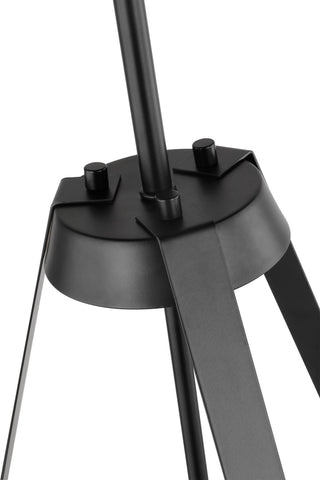 Brewster Three Light Pendant in Black