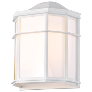 LED Cage Lantern Fixture in White