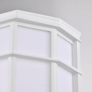 LED Cage Lantern Fixture in White