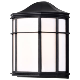 LED Cage Lantern Fixture in Black