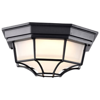 LED Spider Cage Fixture in Black