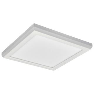 LED Flush Mount in White