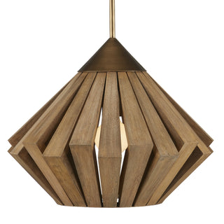 Currey and Company - 9000-0995 - One Light Pendant - Plunge - Toffee/Brass