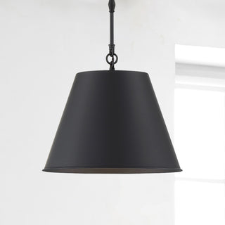 Alden One Light Pendant in Matte Black