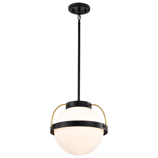 Lakeshore One Light Pendant in Matte Black