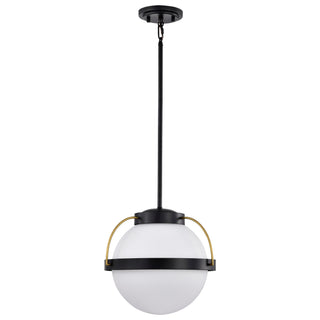 Lakeshore One Light Pendant in Matte Black