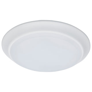 LED Disk Light in White
