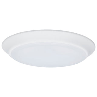 LED Disk Light in White