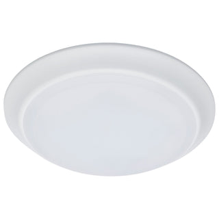 LED Disk Light in White