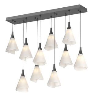 Hubbardton Forge - 131202-SKT-STND-10-SH1987 - Mobius 10-Light Pendant - Mobius - Black
