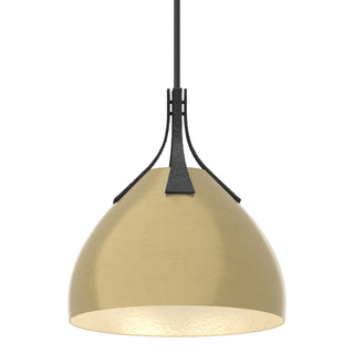 Hubbardton Forge - 134502-SKT-MULT-10-86 - Summit Pendant - Summit - Black