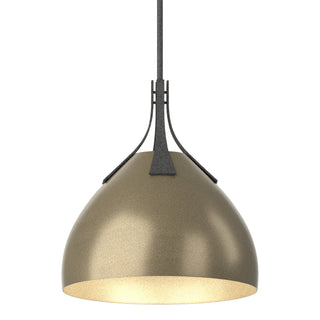 Hubbardton Forge - 134502-SKT-MULT-20-84 - Summit Pendant - Summit - Natural Iron