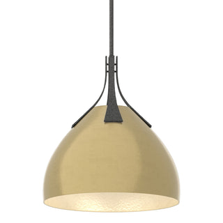 Hubbardton Forge - 134502-SKT-MULT-20-86 - Summit Pendant - Summit - Natural Iron