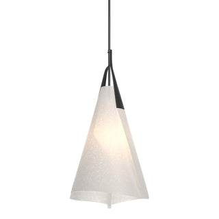 Hubbardton Forge - 134505-SKT-MULT-10-SH1991 - Mobius Tall Pendant - Mobius - Black