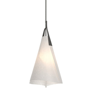 Hubbardton Forge - 134505-SKT-MULT-20-SH1991 - Mobius Tall Pendant - Mobius - Natural Iron