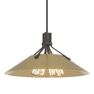 Hubbardton Forge - 136340-SKT-MULT-20-86 - Henry Pendant - Henry - Natural Iron