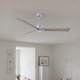 Alessandra 56" Ceiling Fan in Brushed Nickel