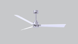 Alessandra 56" Ceiling Fan in Brushed Nickel