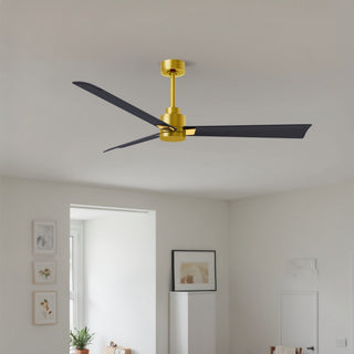 Alessandra 56" Ceiling Fan in Brushed Brass
