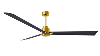 Matthews Fan Company - AK-BRBR-BK-72 - 72" Ceiling Fan - Alessandra - Brushed Brass