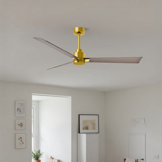 Alessandra 56" Ceiling Fan in Brushed Brass